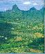 Moorea 076.jpg